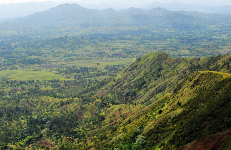 Haiti Deforestation Myth-2 - Haiti news