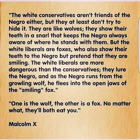 White liberals are more dangerous than the white conservatives - Malcom X - Malcom X